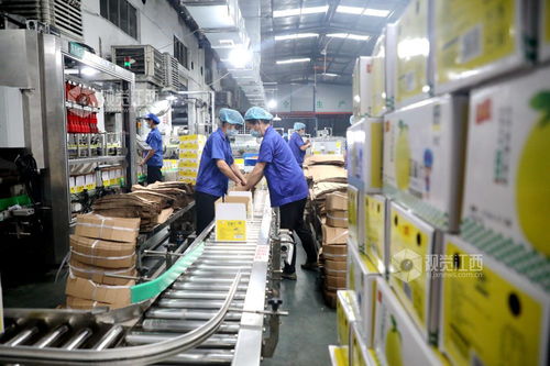 峽江食品企業(yè) 產(chǎn)銷兩旺與綠化服務(wù)協(xié)同發(fā)展